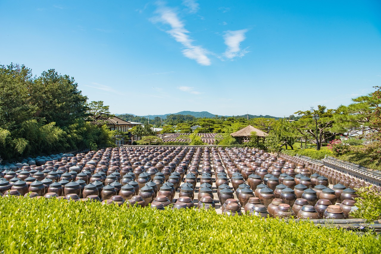 最新果樹品種探索，開啟未來農(nóng)業(yè)新篇章