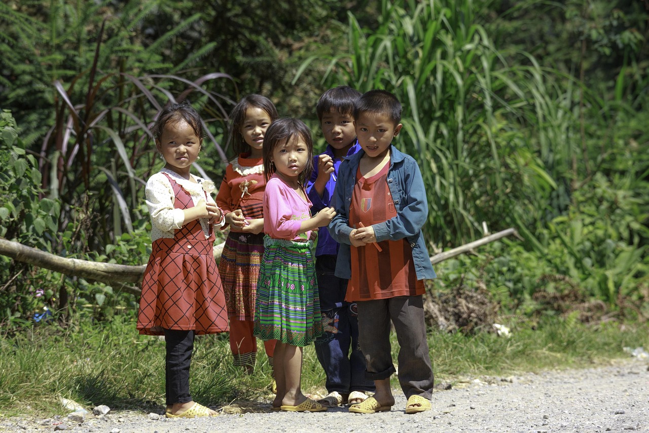 老農(nóng)民電視劇全集，農(nóng)村生活的真實寫照（免費播放60集高清版）