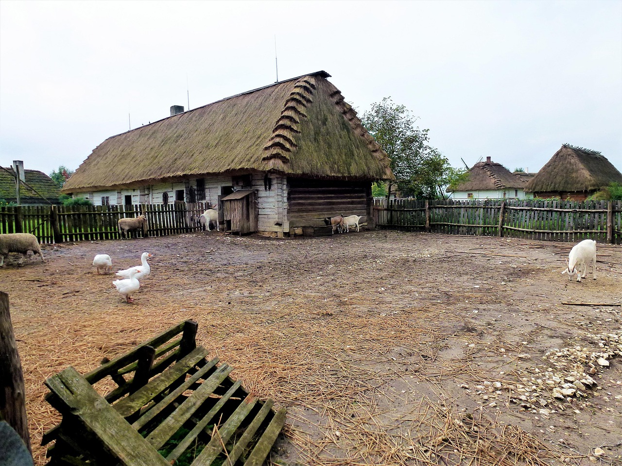 最新耕地建房政策法規(guī)解讀，政策細節(jié)與實際應用分析