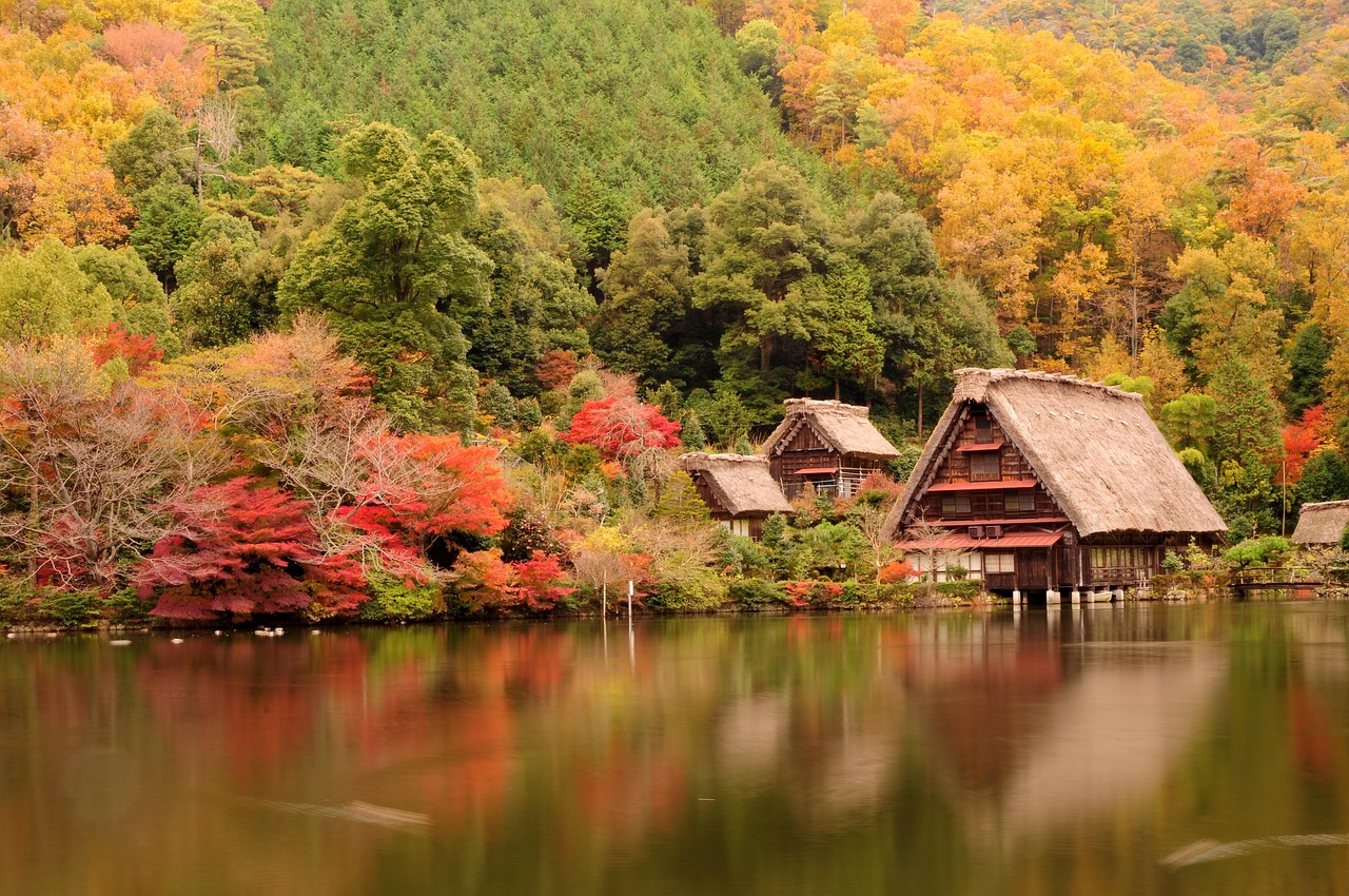 最新黃山旅行記，探索壯麗山水的獨(dú)特魅力