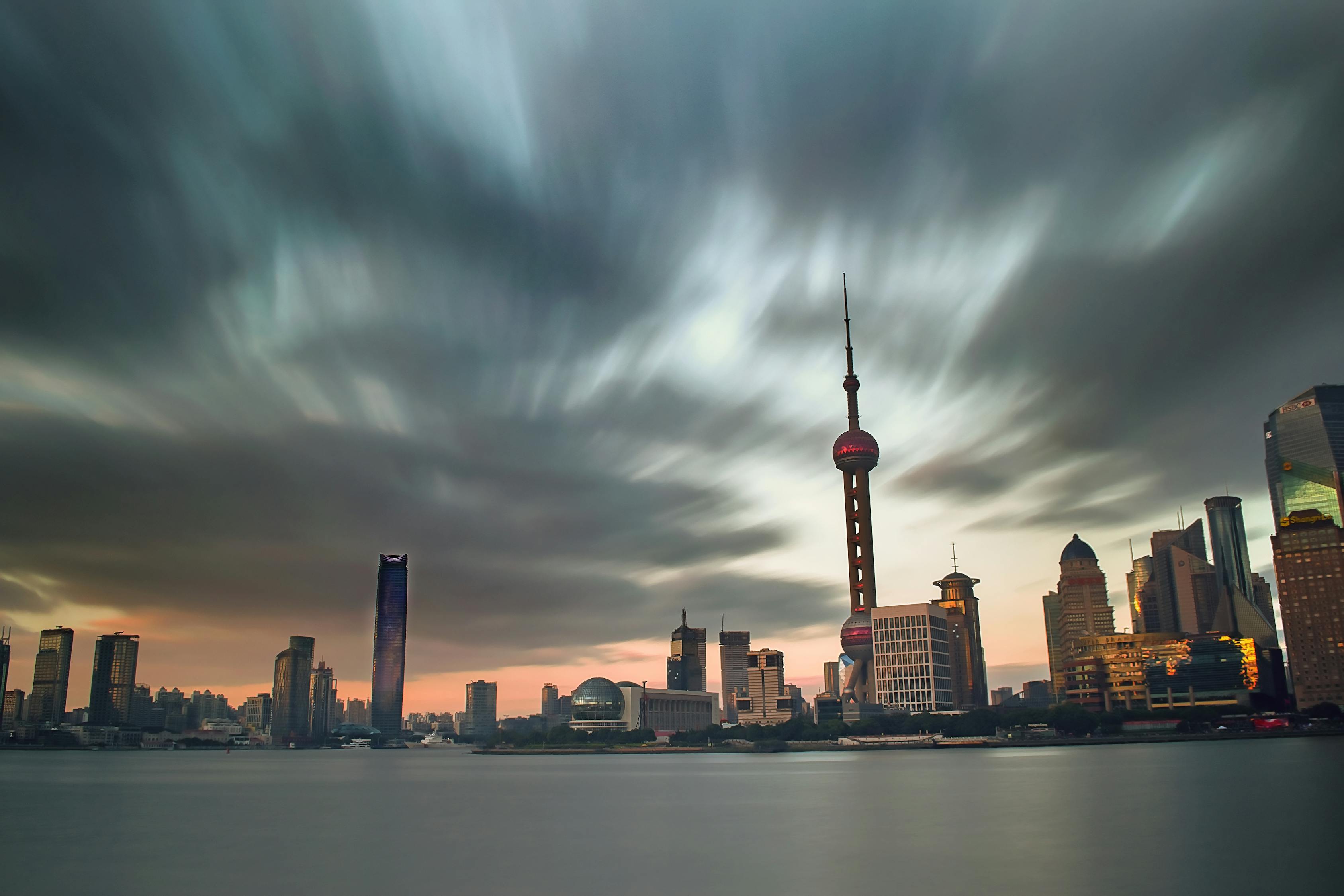 連翹行情繁榮背后的深度市場(chǎng)洞察