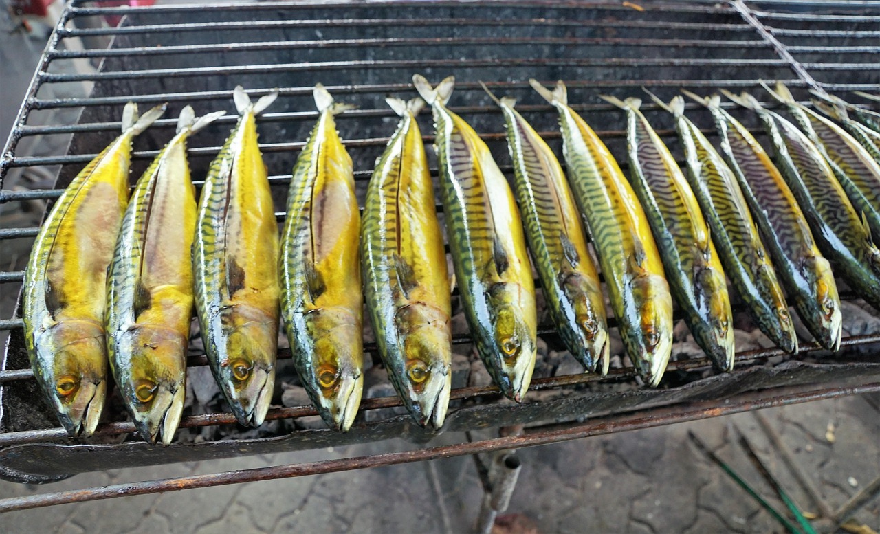 漯河雙匯最新動態(tài)，先鋒力量引領食品行業(yè)創(chuàng)新發(fā)展