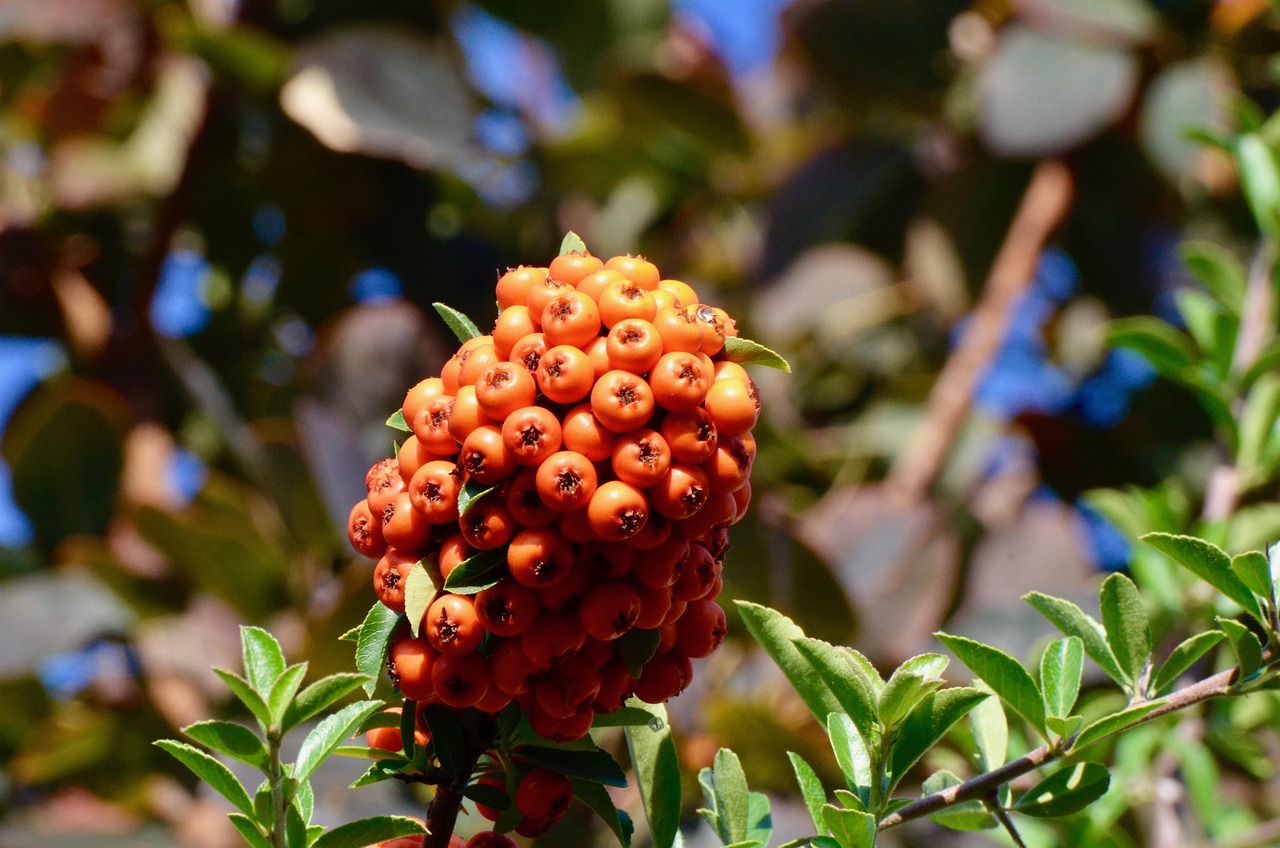 綠豆紅豆，人性掙扎與成長的深刻展現(xiàn)